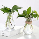 Load image into Gallery viewer, Minimalist Clear Glass Vase